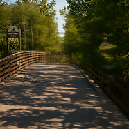 TB - swamp rabbit background_edited.png
