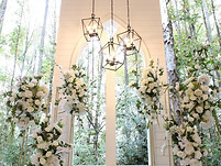 Garden of Eden.jpg
