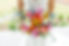 Leslie Ivey Website Image.jpeg