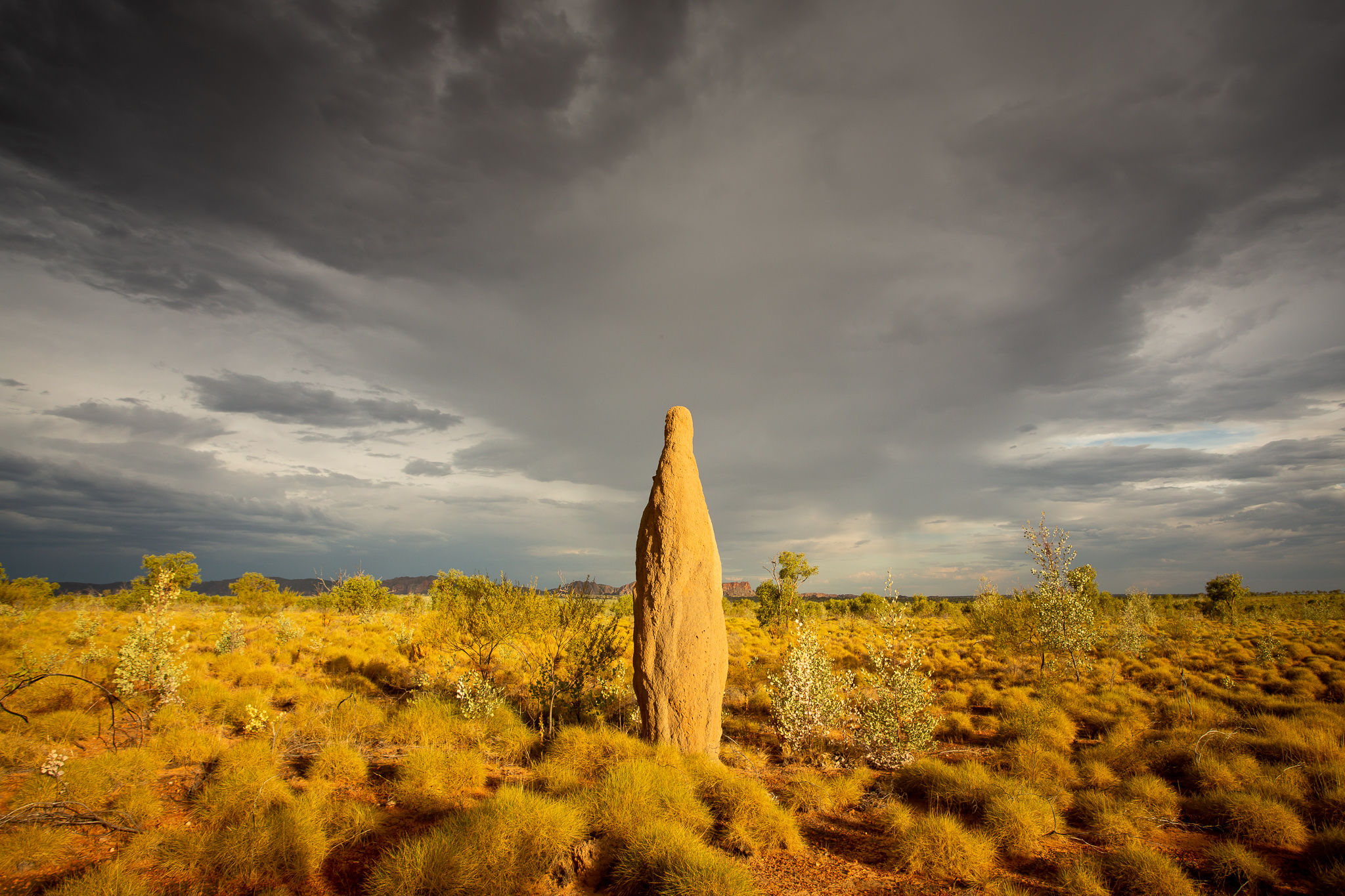 Termite Mound - GA0084