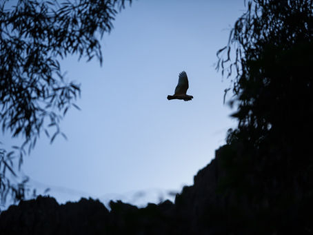 Stepping Back In Time