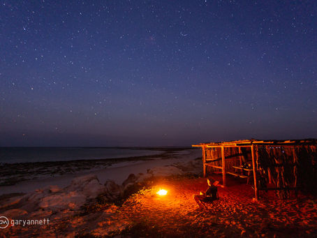 The Sound of Silence