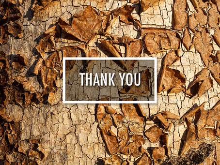 Thank You | RFDS Fundraiser | 2017
