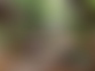 45km Fun Run Complete...