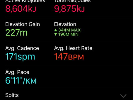 Training Complete...