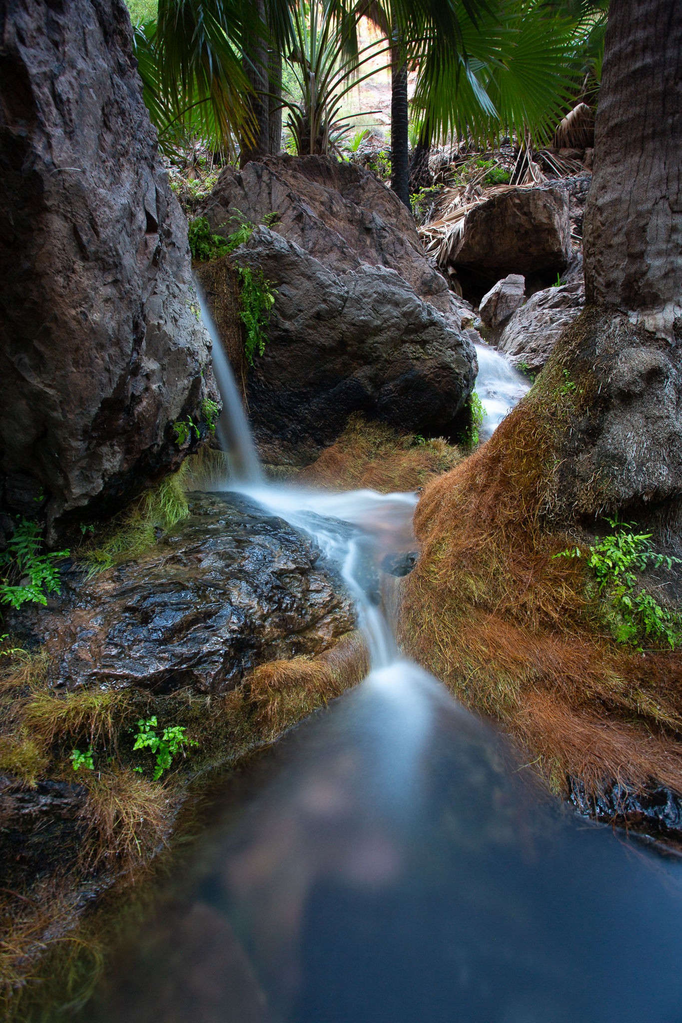 Zebedee Springs - GA0108