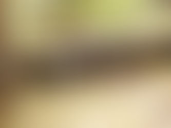 The Clean-up Begins...