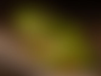 Splendid Free Frog...