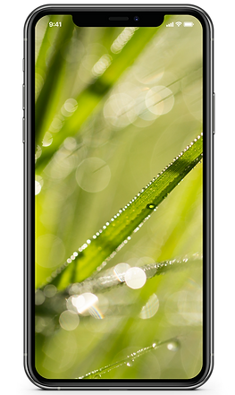 Morning-Dew-Wallpaper-Gary-annett.png