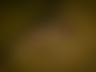 Mertens' Water Monitor Pt II...