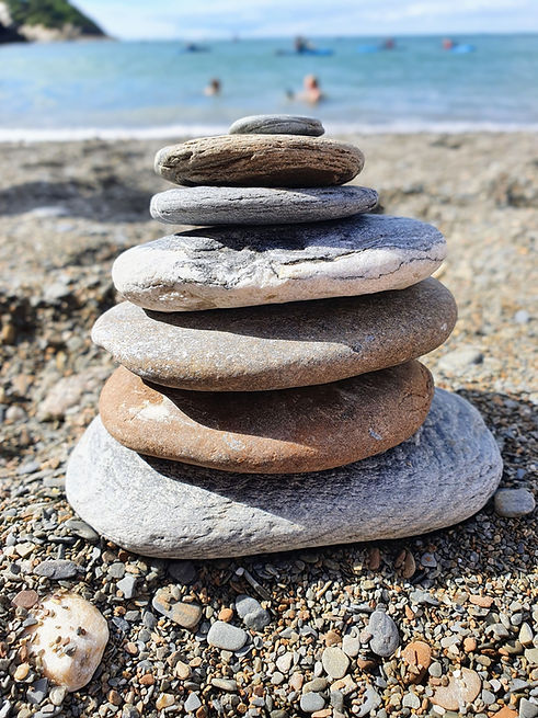 20200803_162416~2 (1).jpg