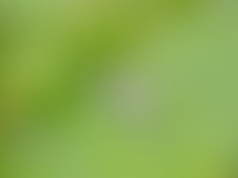 ”だからその自己肯定感どこで売ってんの？”