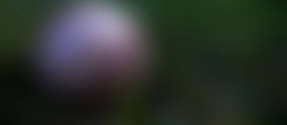 それはそんなに綺麗に見つからない