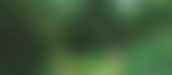 どうしようか迷った時に答えを出す方法