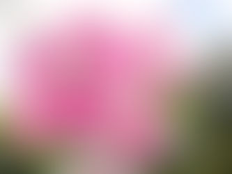 どういうことかは体感するとはやい