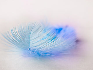 世界が優しくなる方法