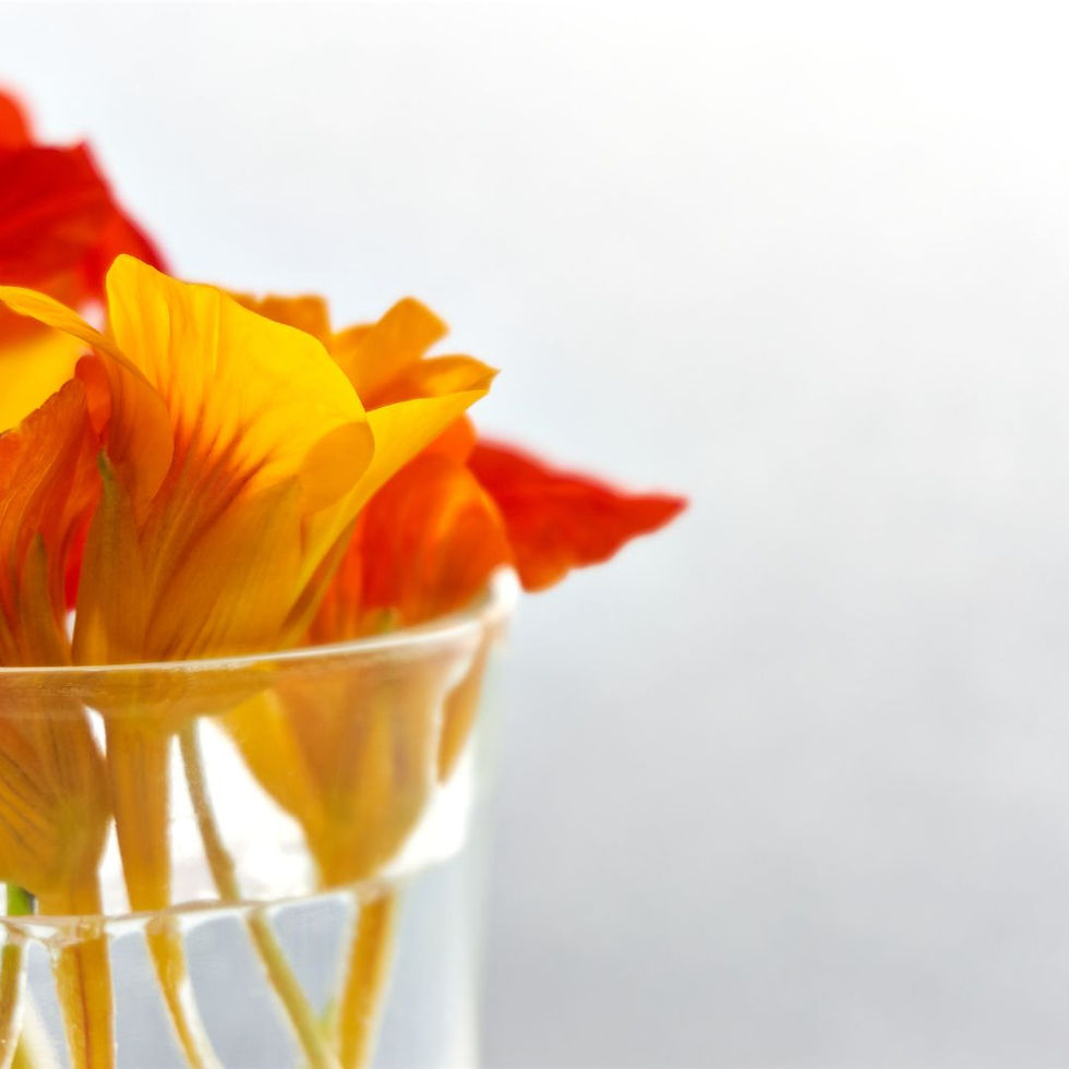 Nasturtium