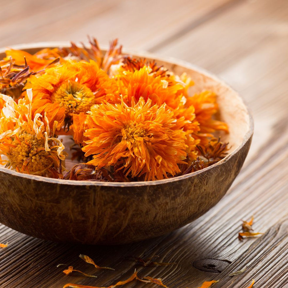 Calendula