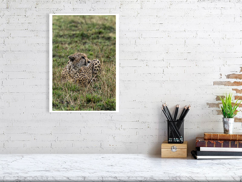 Thumbnail: A Spot of Rain