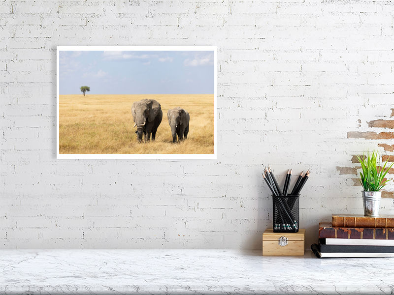 Thumbnail: Elephant Walk