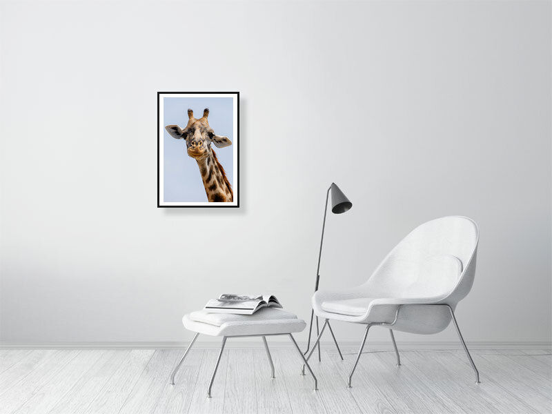 Thumbnail: Looking Down