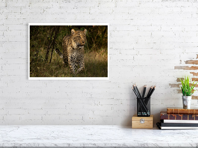 Thumbnail: Out of the thicket