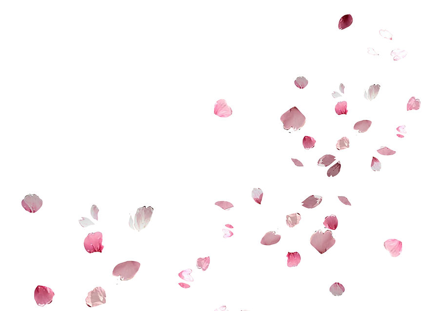 桜花びら1_edited.jpg