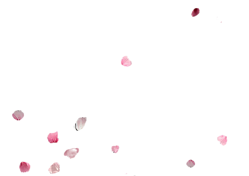 桜花びら1_edited.png