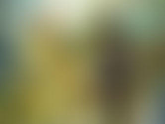 Videospiele im Dezember 2025 zum Lesen & Hören