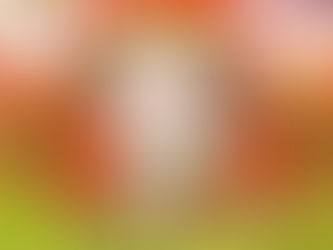 Schatzkiste: Okami (Videospiel)