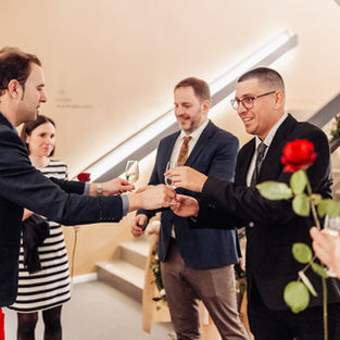 Plesová sezóna v Lovosicích