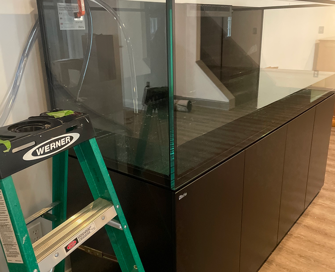 Installations by Professional Aquariums Maryland Saltwater & Freshwater Tank Maintenance