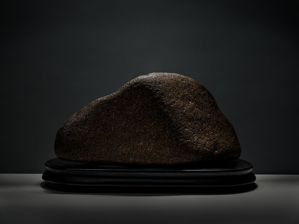 Exposition Pierres curieuses
