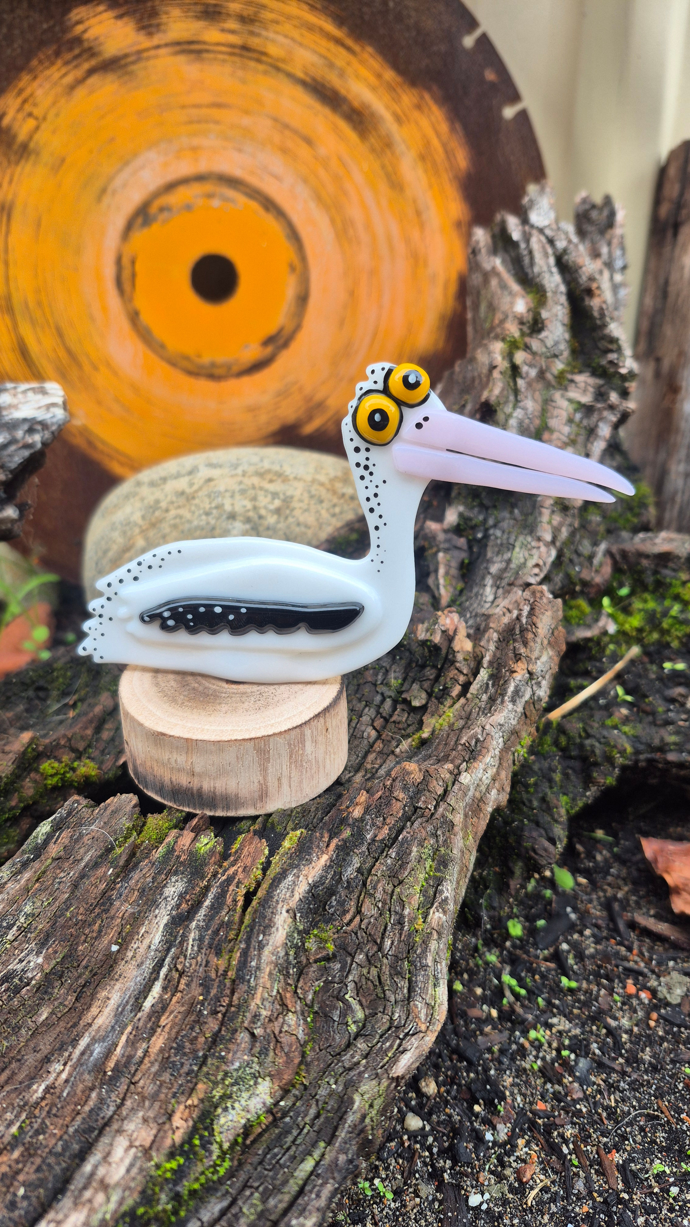 Pelican - Australian Bird Collection