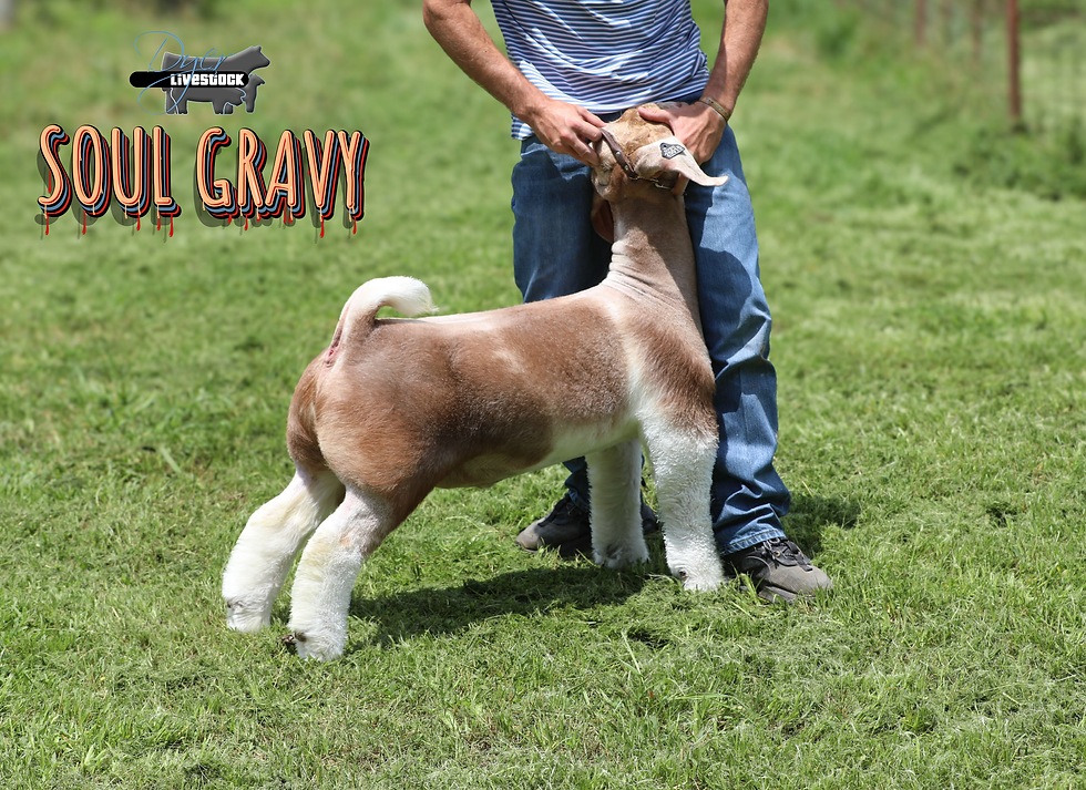 Thumbnail: Soul Gravy Semen