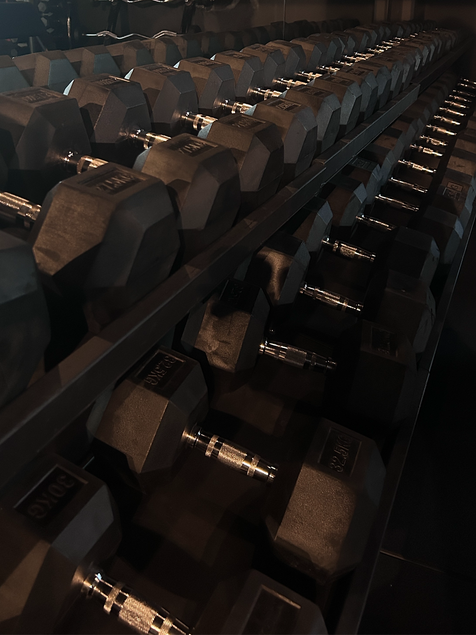 Training.mp4