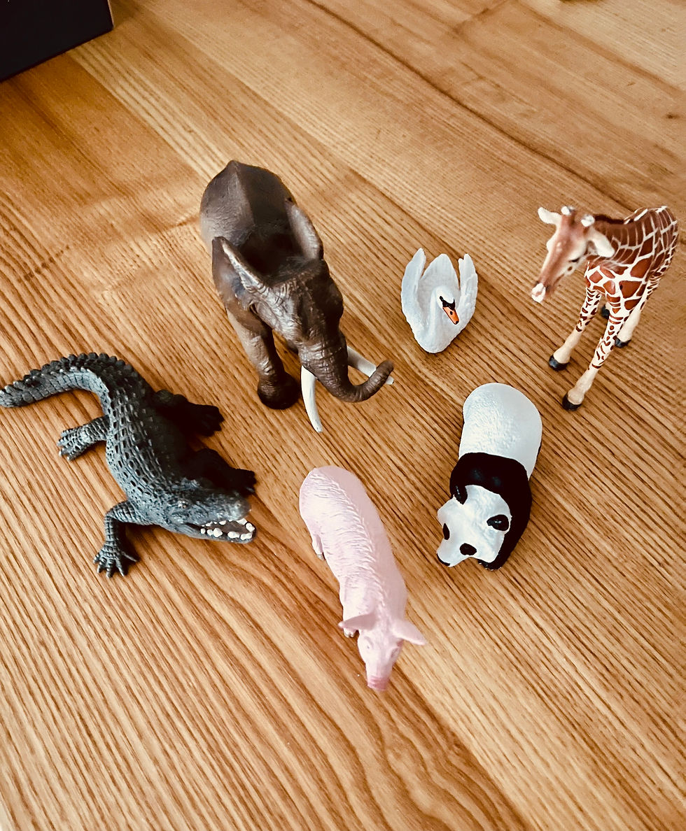 Systemisch sehen, statt nur reden – Aufstellungen im Coaching