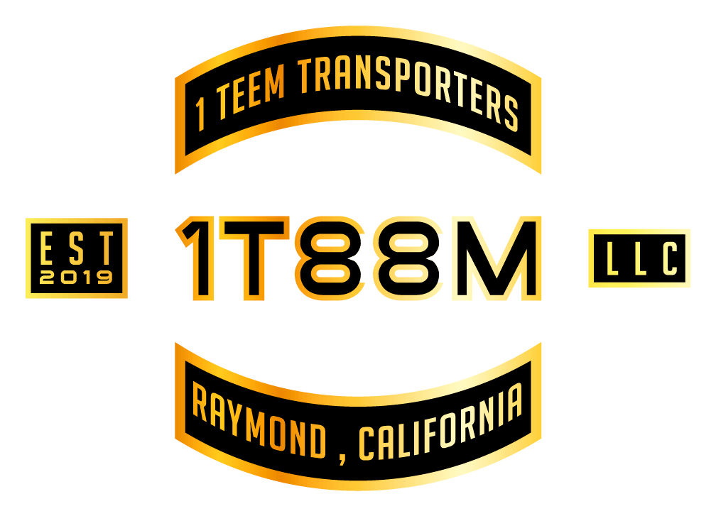 1 TEEM TRANSPORTERS LOGO