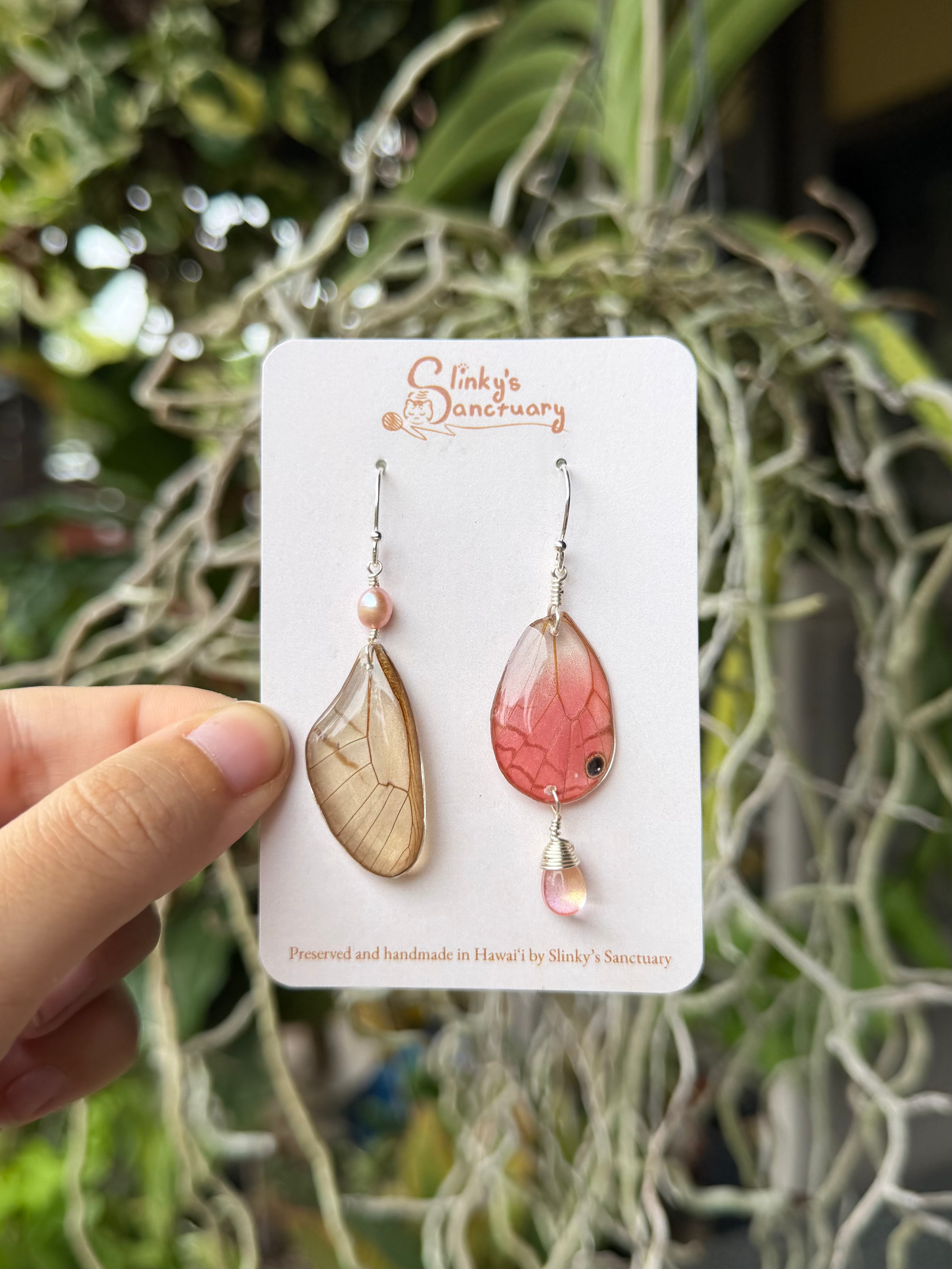 Blushing Phantom Butterfly Earrings - Silver