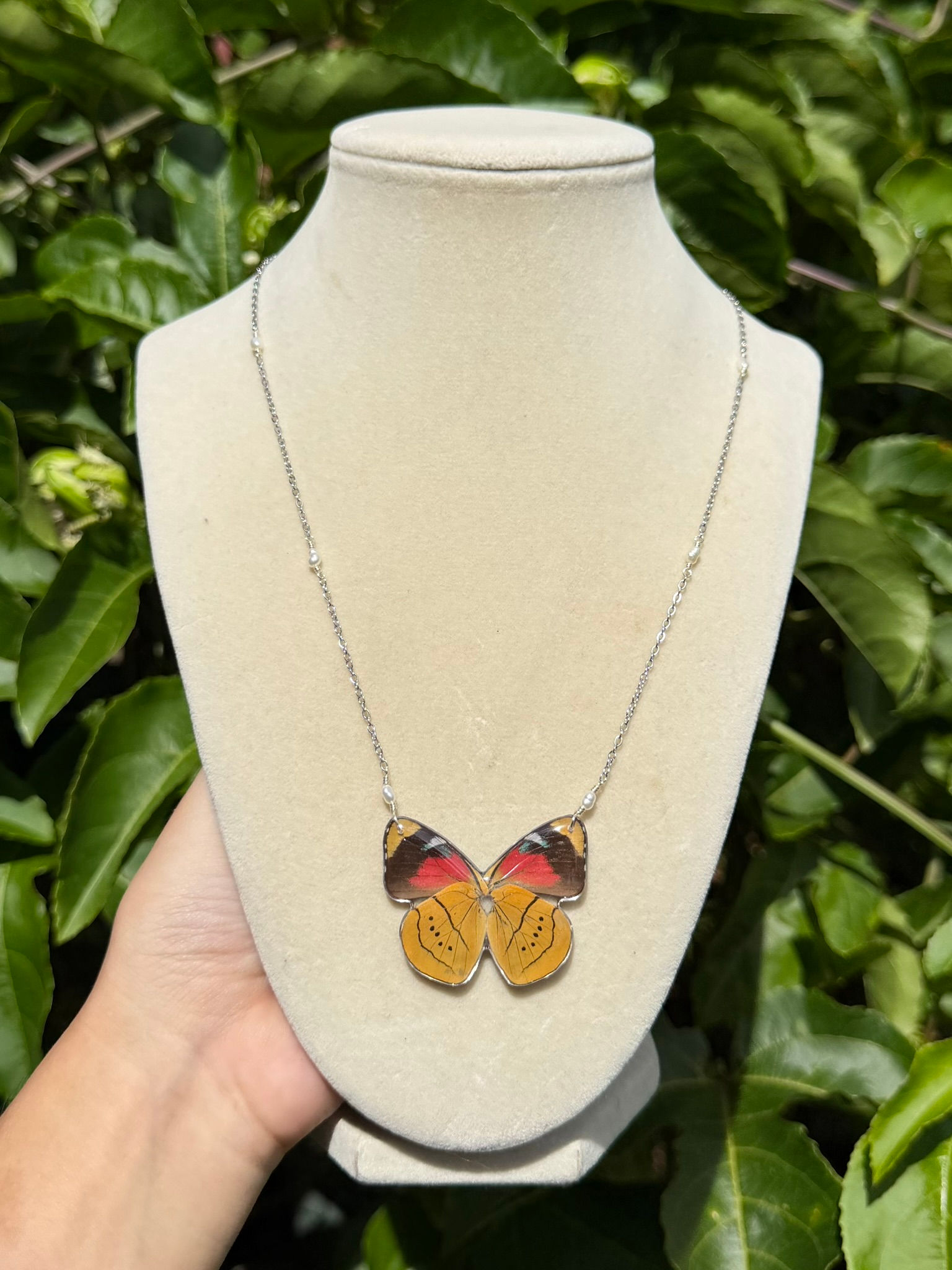 Humboldt's Cloudforest Butterfly Necklace - Silver