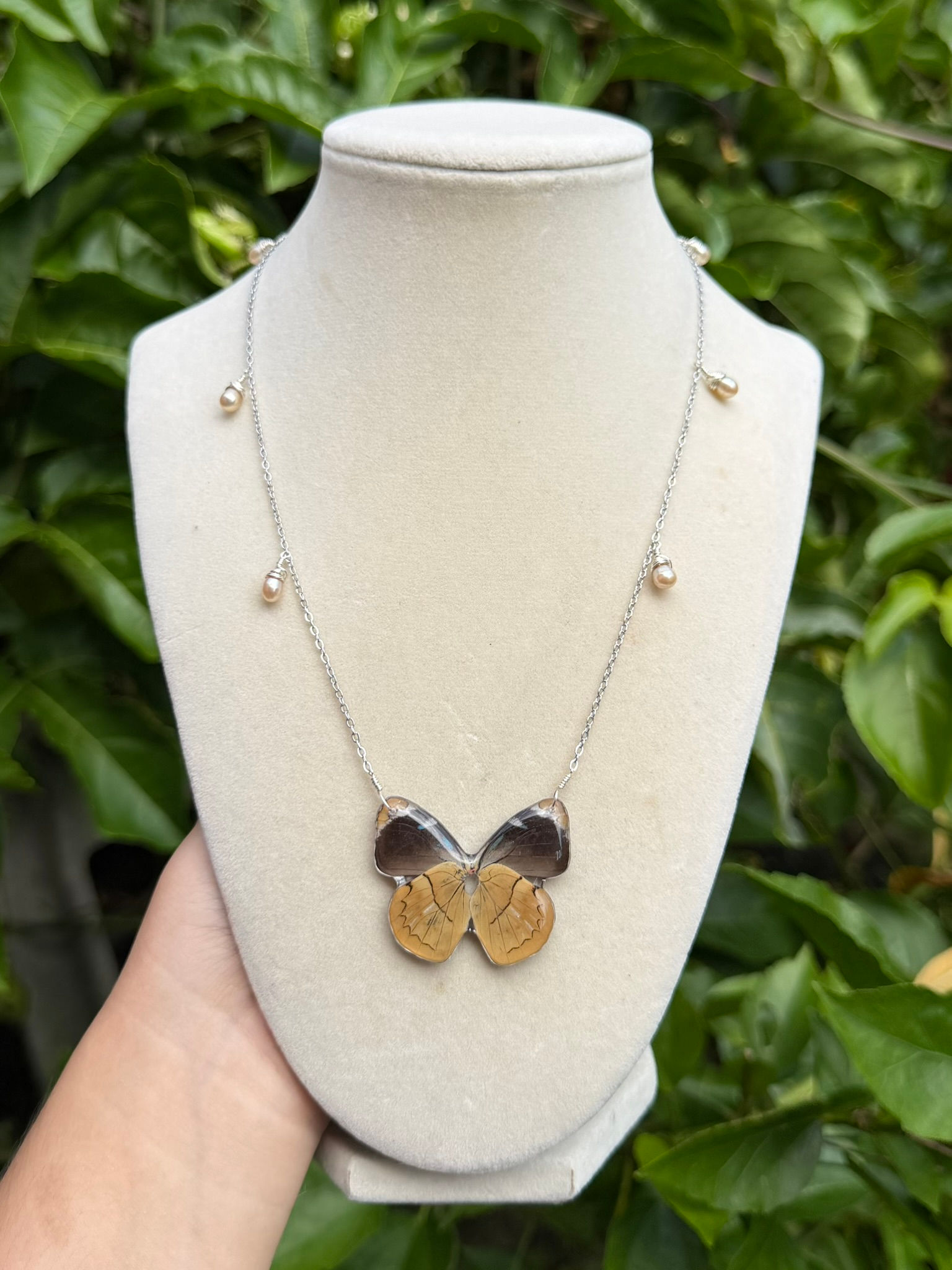 Philinus Blue Cloudforest Butterfly Necklace - Silver