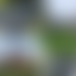 Roofing Contractor Near St. Clair, MI