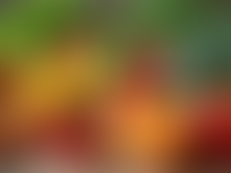 Top Organic Products for Sustainable Living