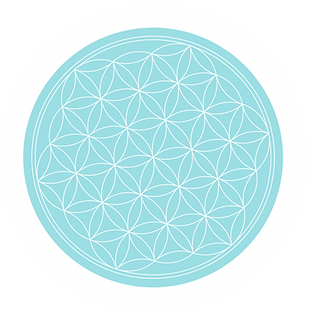 flower of life 2025.png