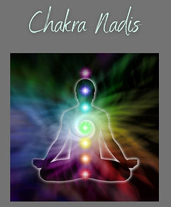 Chakra Nadi system