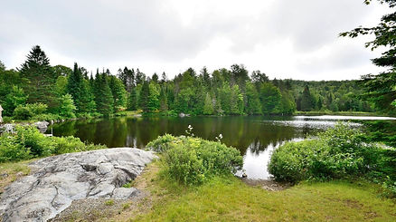 10601440-2_edited.jpg