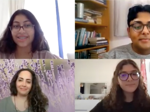 Discussing Small Businesses and the Covid-19 Crisis