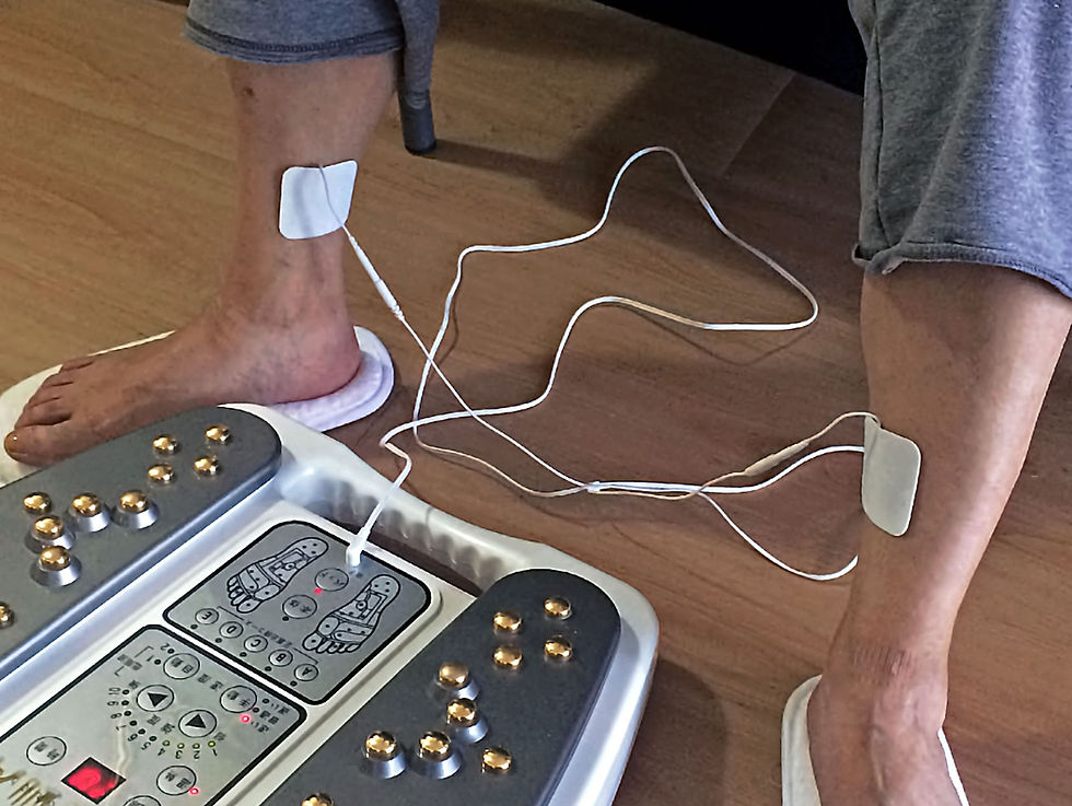 二手愛麗健 全身療效器 人體生物電 電子針灸