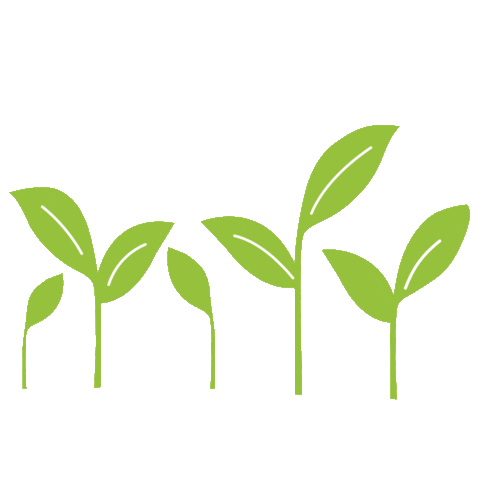 Minimalist green plant icons representing eco-friendly or growth concept.