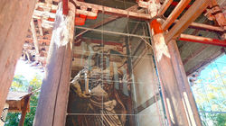 BROMPTON  Slow Cycling Tours